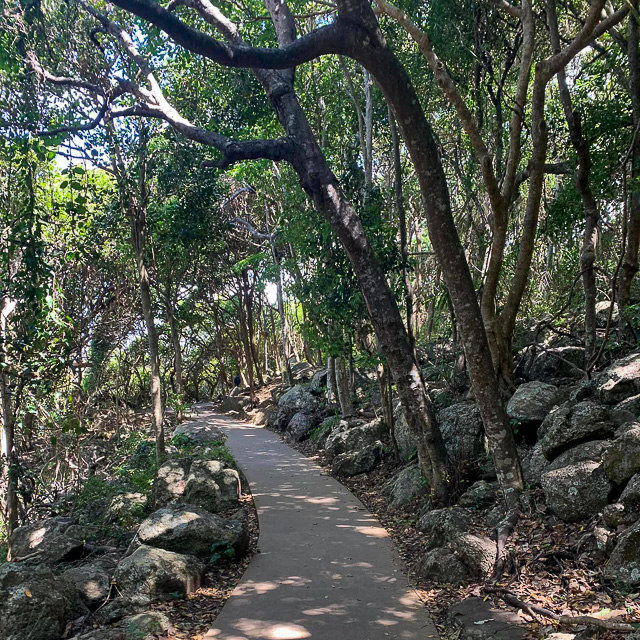 The track around Burleigh Heads